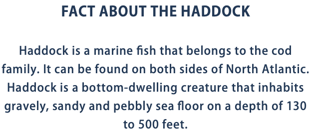FACT ABOUT THE HADDOCK Haddock is a marine fish that belongs to the cod family. It can be found on both sides of North Atlantic. Haddock is a bottom-dwelling creature that inhabits gravely, sandy and pebbly sea floor on a depth of 130 to 500 feet.
